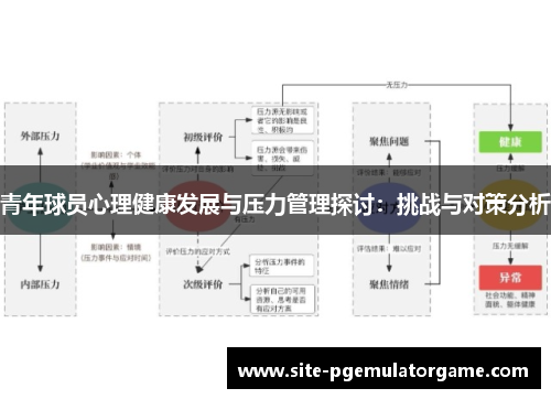 青年球员心理健康发展与压力管理探讨：挑战与对策分析