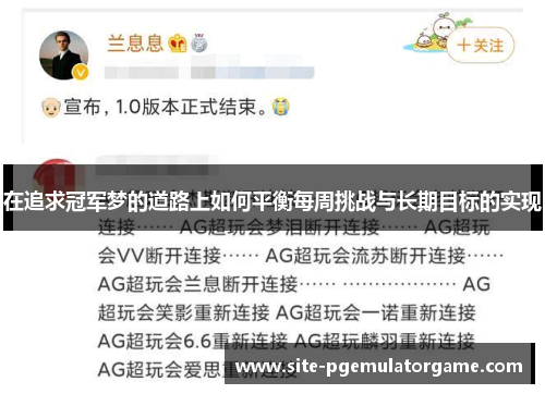 在追求冠军梦的道路上如何平衡每周挑战与长期目标的实现