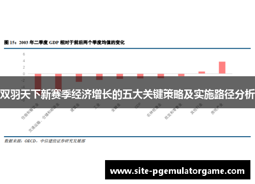 双羽天下新赛季经济增长的五大关键策略及实施路径分析
