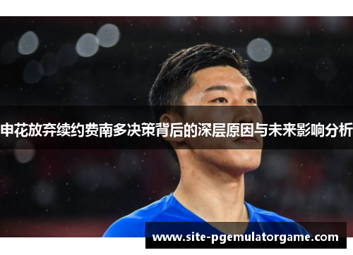 申花放弃续约费南多决策背后的深层原因与未来影响分析