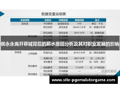 侯永永离开蓉城背后的薪水原因分析及其对职业发展的影响