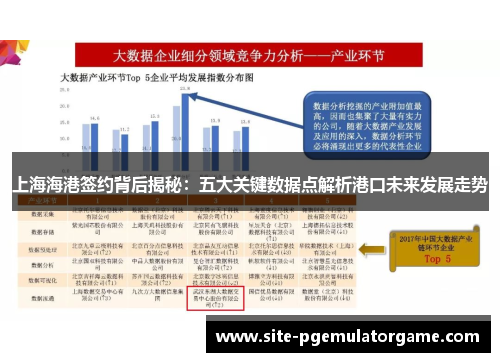 上海海港签约背后揭秘：五大关键数据点解析港口未来发展走势