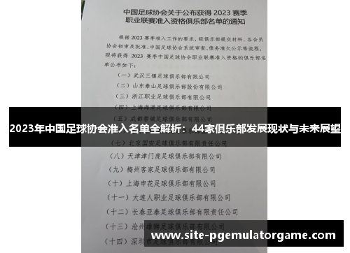 2023年中国足球协会准入名单全解析：44家俱乐部发展现状与未来展望