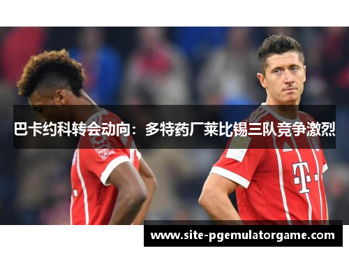 巴卡约科转会动向：多特药厂莱比锡三队竞争激烈