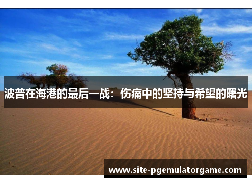 波普在海港的最后一战：伤痛中的坚持与希望的曙光