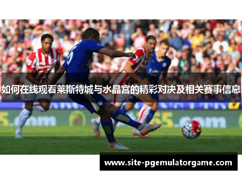 如何在线观看莱斯特城与水晶宫的精彩对决及相关赛事信息