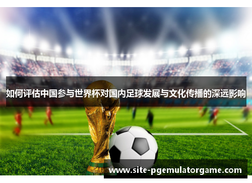 如何评估中国参与世界杯对国内足球发展与文化传播的深远影响
