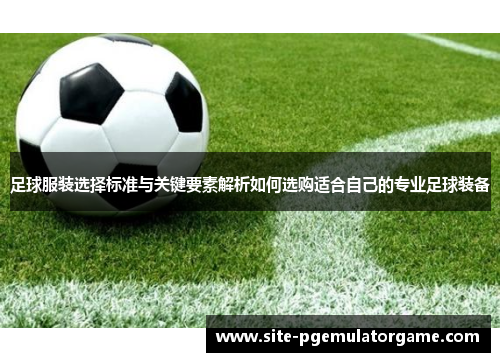 足球服装选择标准与关键要素解析如何选购适合自己的专业足球装备