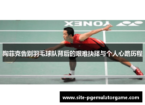 陶菲克告别羽毛球队背后的艰难抉择与个人心路历程