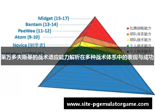 莱万多夫斯基的战术适应能力解析在多种战术体系中的表现与成功