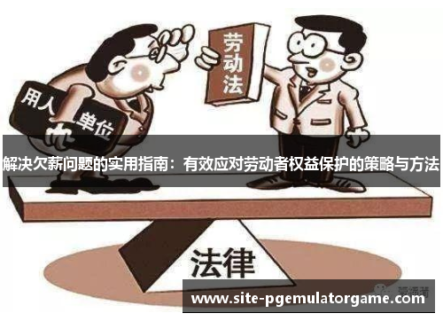 解决欠薪问题的实用指南：有效应对劳动者权益保护的策略与方法