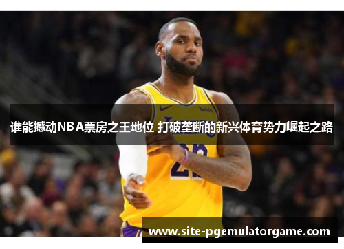 谁能撼动NBA票房之王地位 打破垄断的新兴体育势力崛起之路