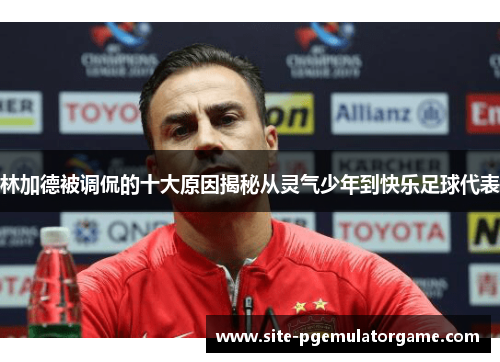 林加德被调侃的十大原因揭秘从灵气少年到快乐足球代表
