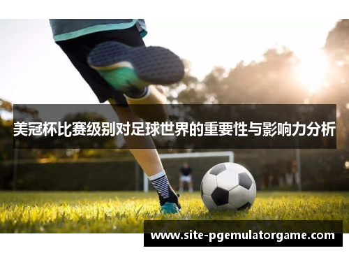 美冠杯比赛级别对足球世界的重要性与影响力分析