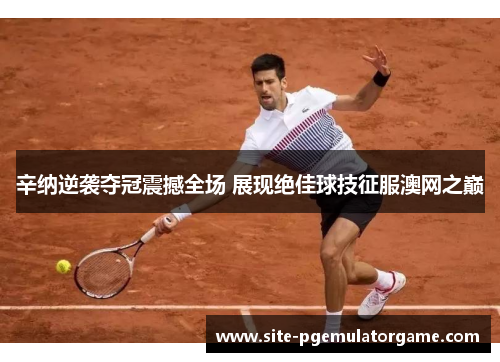 辛纳逆袭夺冠震撼全场 展现绝佳球技征服澳网之巅