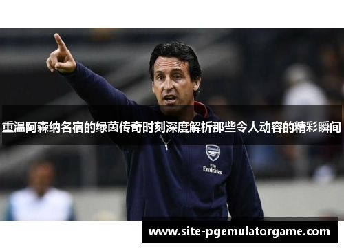 重温阿森纳名宿的绿茵传奇时刻深度解析那些令人动容的精彩瞬间