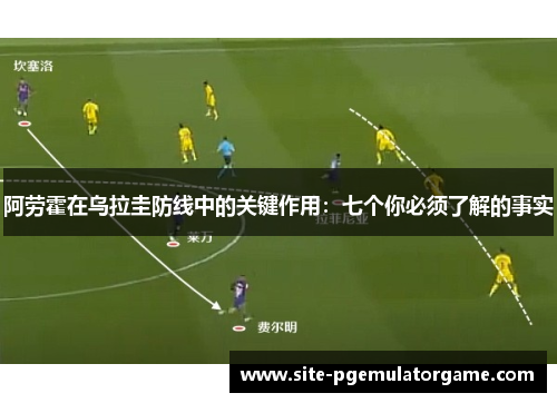 阿劳霍在乌拉圭防线中的关键作用:七个你必须了解的事实 阿劳霍在乌拉圭防线中的关键作用:七个你必须了解的事实