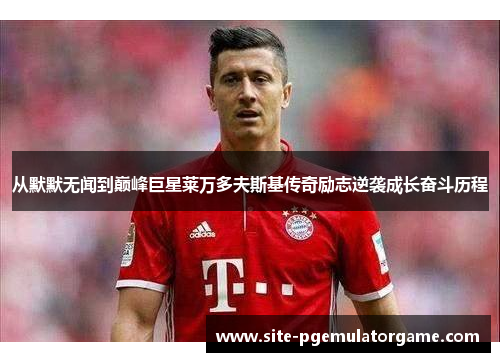 从默默无闻到巅峰巨星莱万多夫斯基传奇励志逆袭成长奋斗历程 从默默无闻到巅峰巨星莱万多夫斯基传奇励志逆袭成长奋斗历程