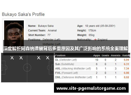 深度解析阿森纳遭禁背后多重原因及其广泛影响的系统全面理解