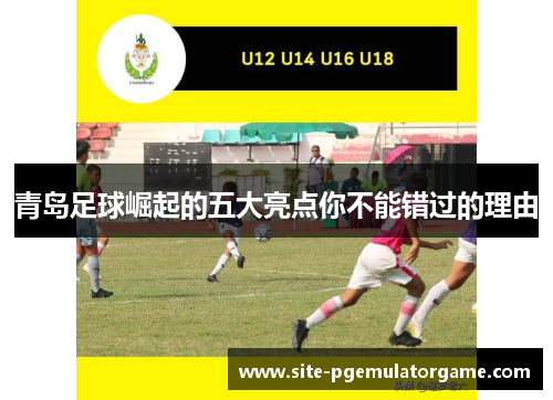 青岛足球崛起的五大亮点你不能错过的理由