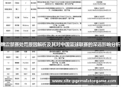 魏震禁赛处罚原因解析及其对中国篮球联赛的深远影响分析