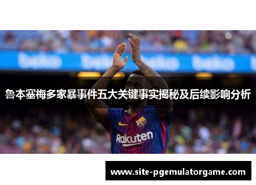 鲁本塞梅多家暴事件五大关键事实揭秘及后续影响分析