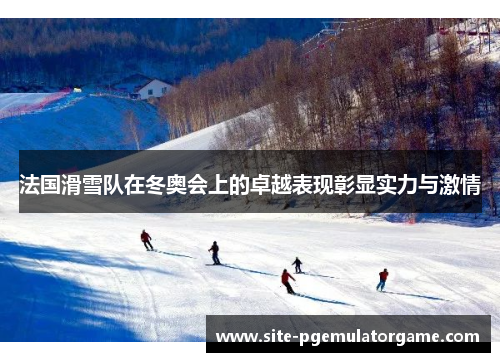 法国滑雪队在冬奥会上的卓越表现彰显实力与激情