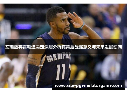 灰熊放弃霍勒迪决定深层分析其背后战略意义与未来发展动向